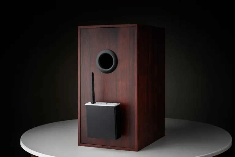 Pro-Ject Wireless Box E - Slika 2