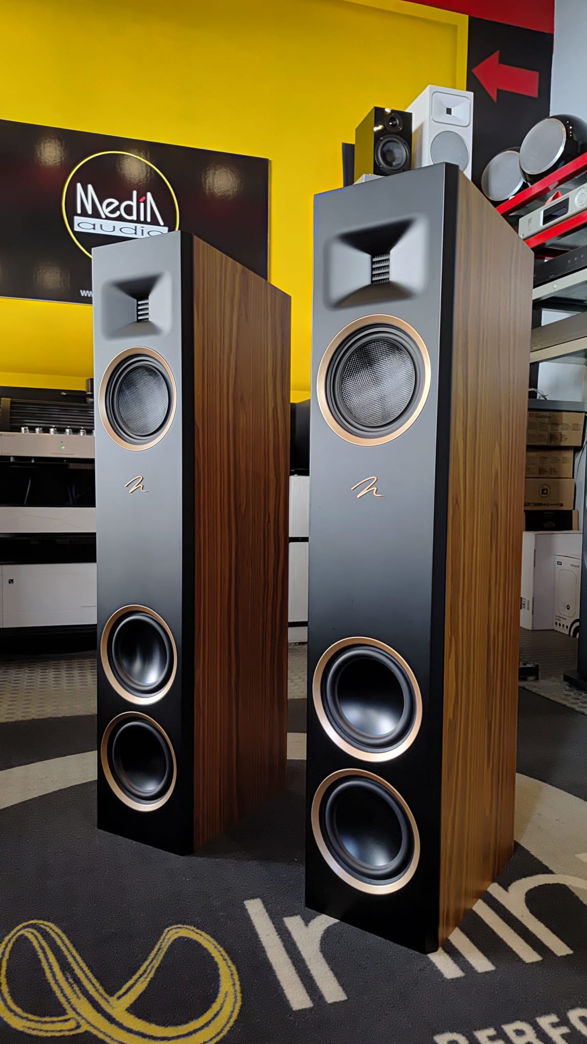 Martin Logan Motion F10 - Slika 2