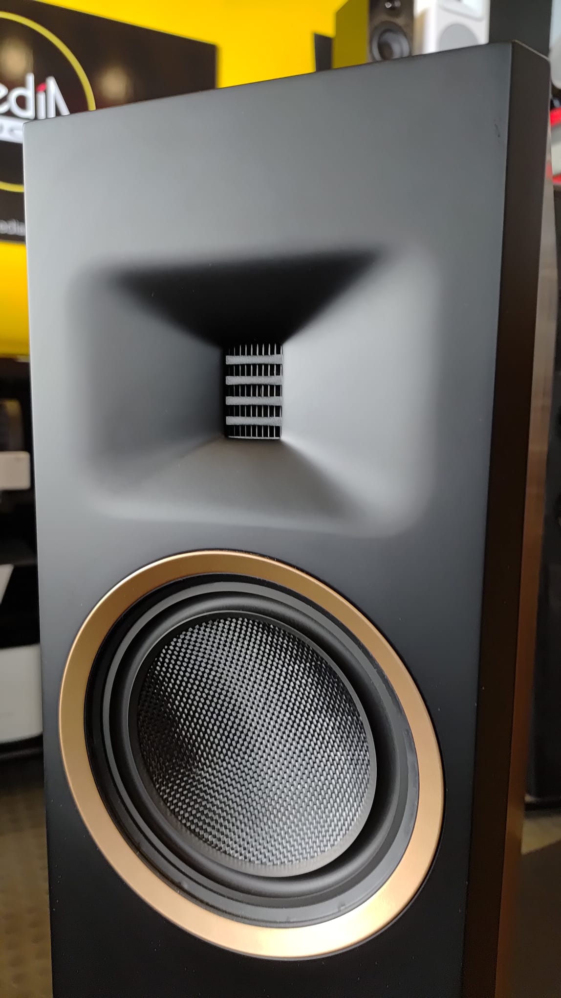 Martin Logan Motion F10 - Slika 3