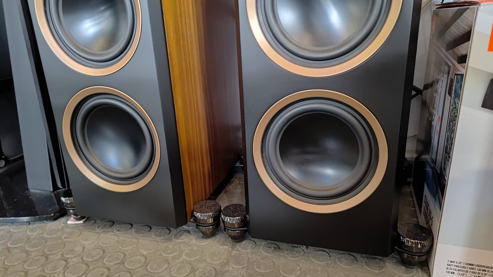 Martin Logan Motion F10 - Slika 4